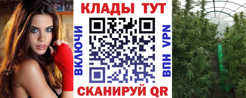Гашиш Коряжма