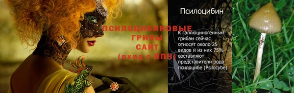альфа пвп Гвардейск