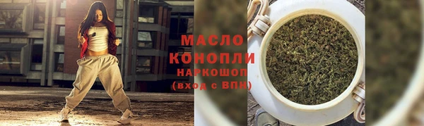 индика Гатчина