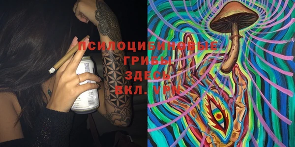 соль курить ск Осинники