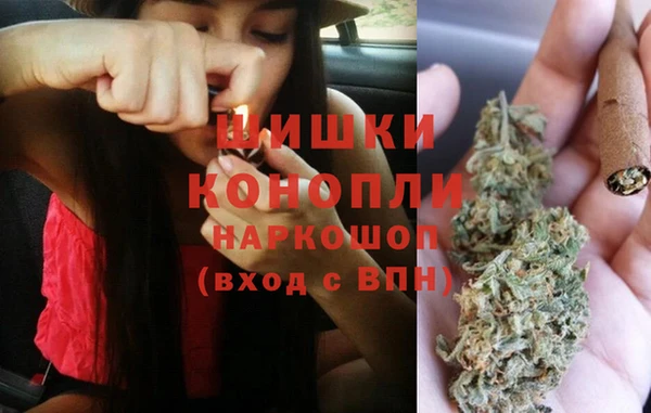 индика Гатчина