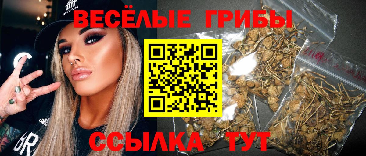 Коряжма  Псилоцибиновые грибы прущие грибы  Вход с VPN  Псилоцибиновые грибы MAGIC MUSHROOMS 