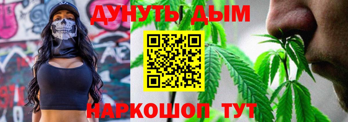 Шишки марихуана семена  Бошки марихуана семена  Вход с VPN  Коряжма  МАРИХУАНА AK-47  МАРИХУАНА план 